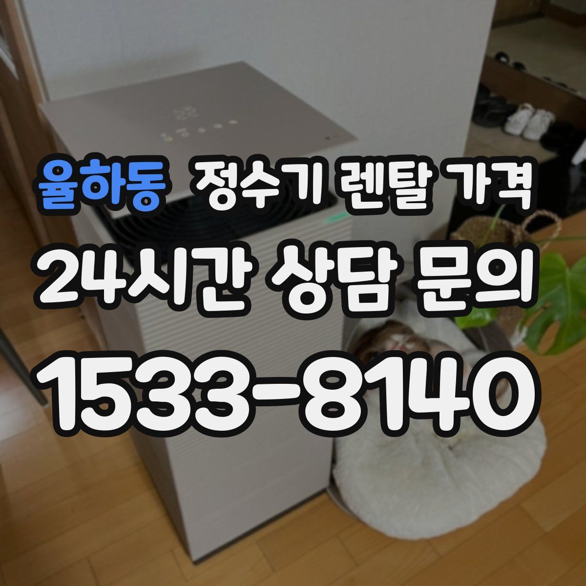 율하동 정수기 렌탈 가격