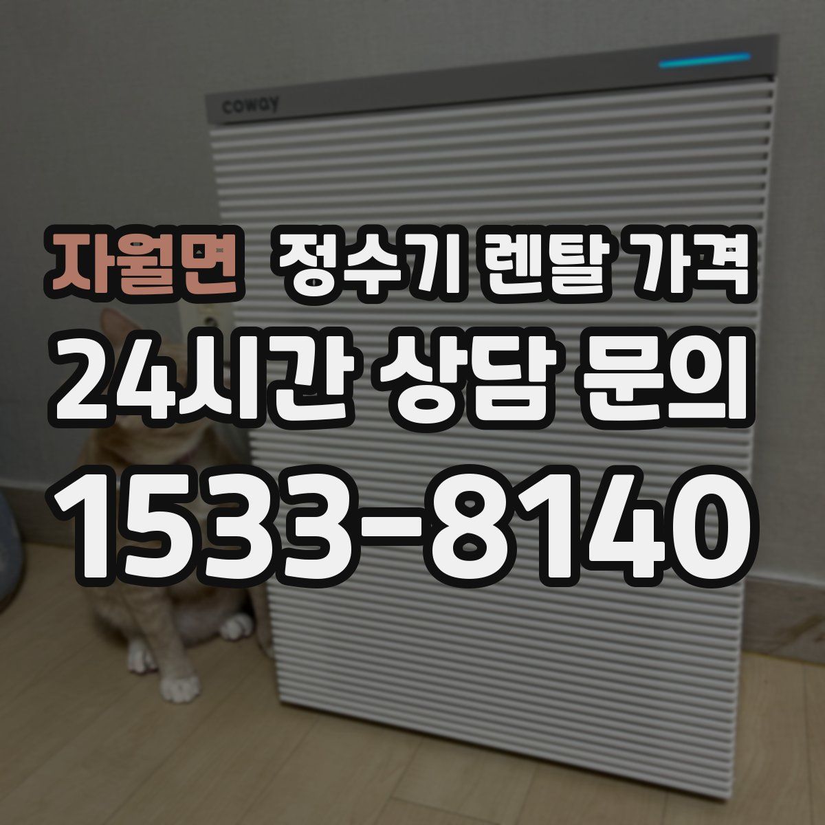 자월면 정수기 렌탈 가격