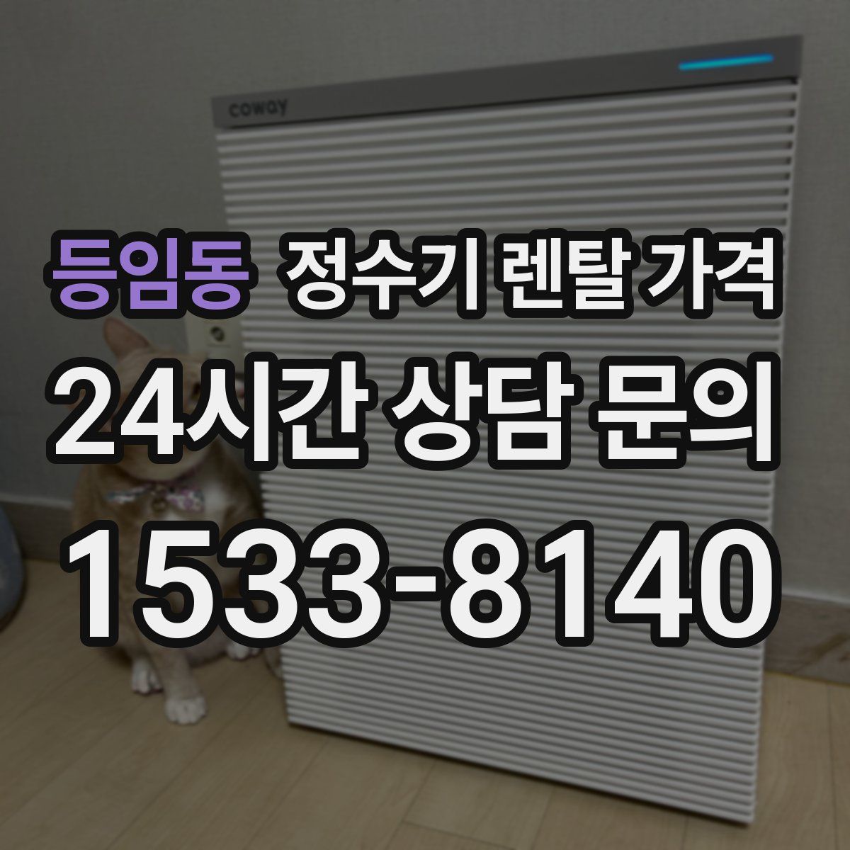 등임동 정수기 렌탈 가격