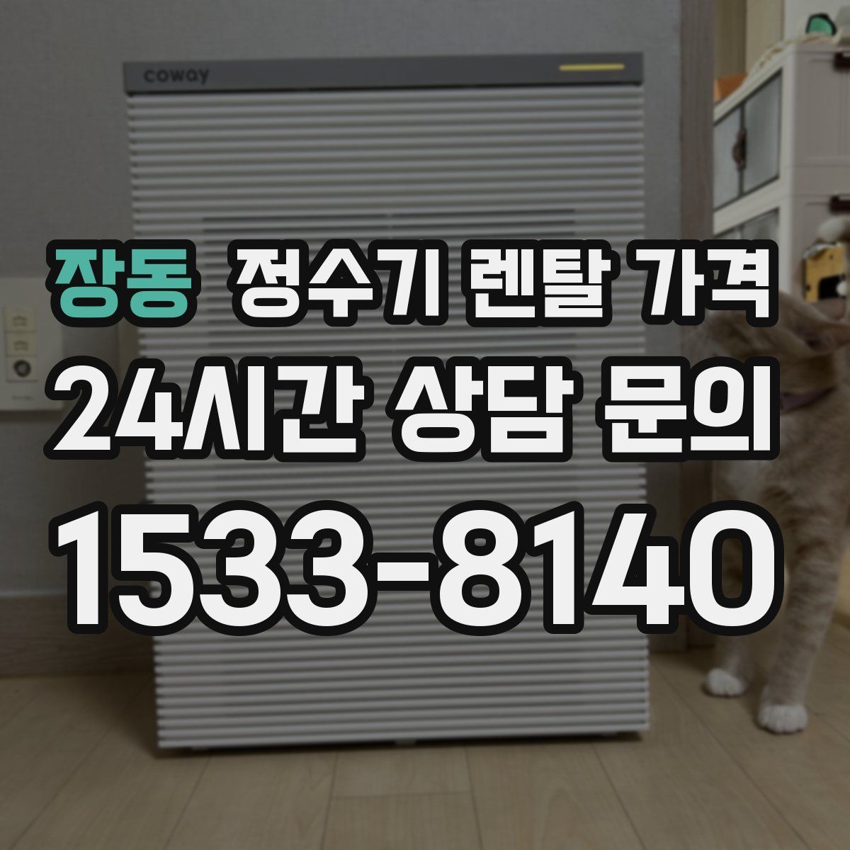 장동 정수기 렌탈 가격