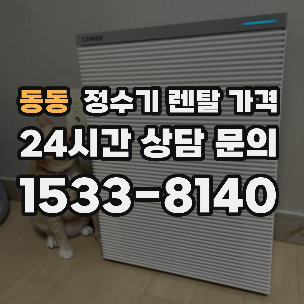 동동 정수기 렌탈 가격