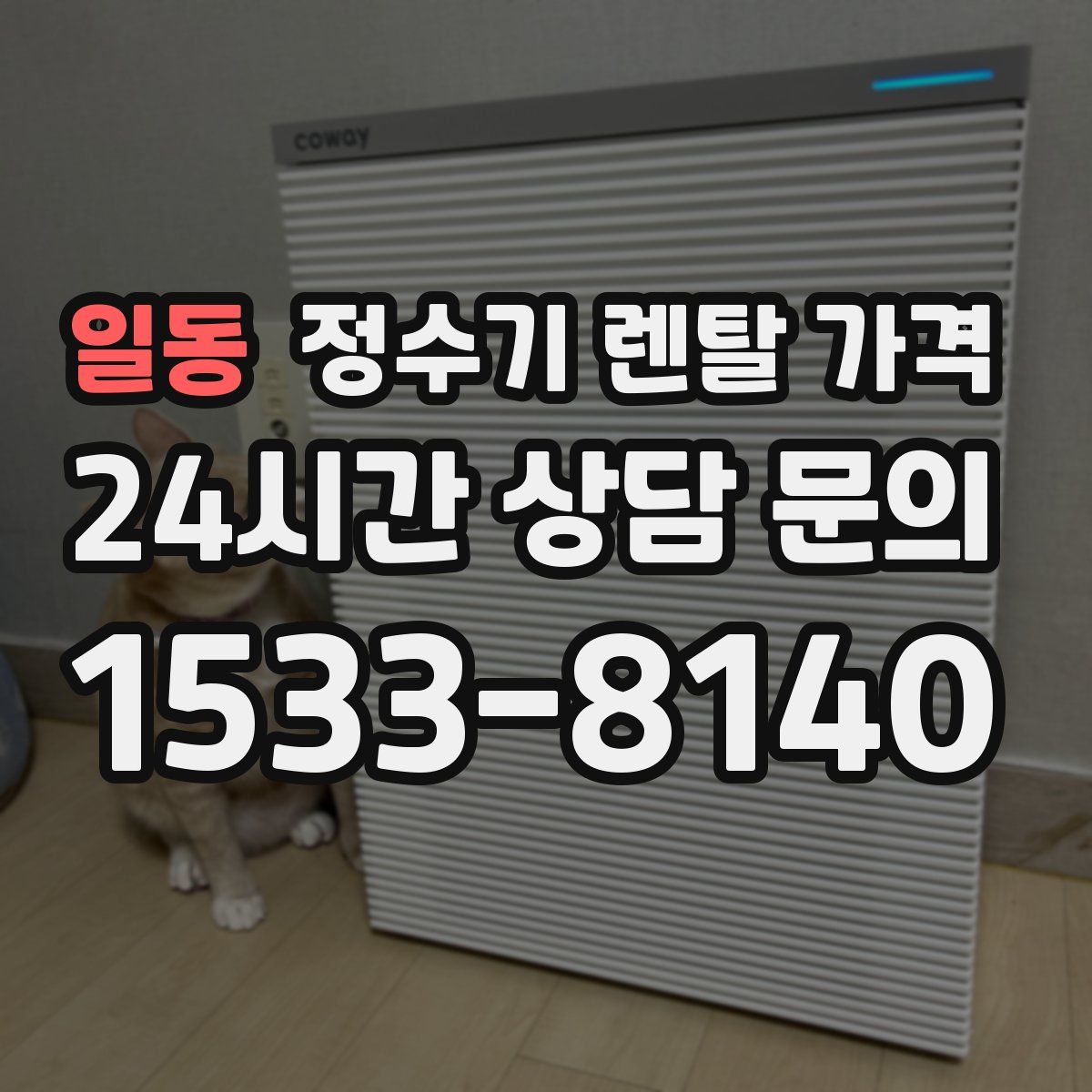 일동 정수기 렌탈 가격