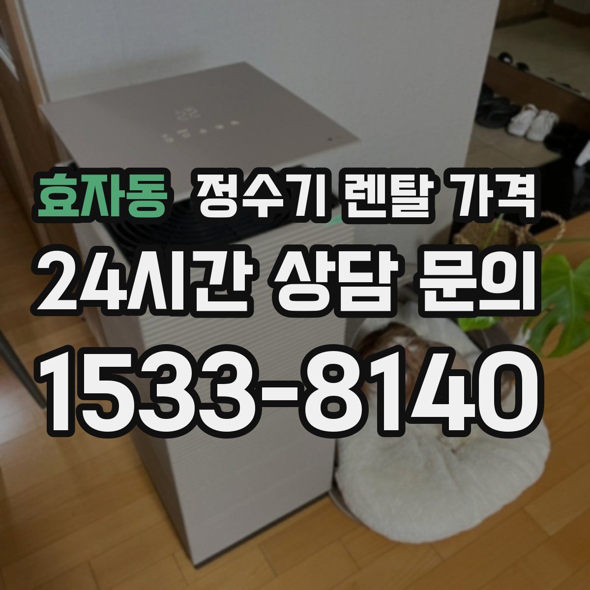 효자동 정수기 렌탈 가격