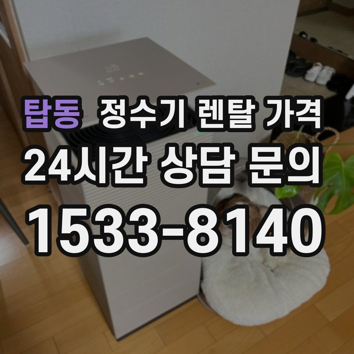 탑동 정수기 렌탈 가격