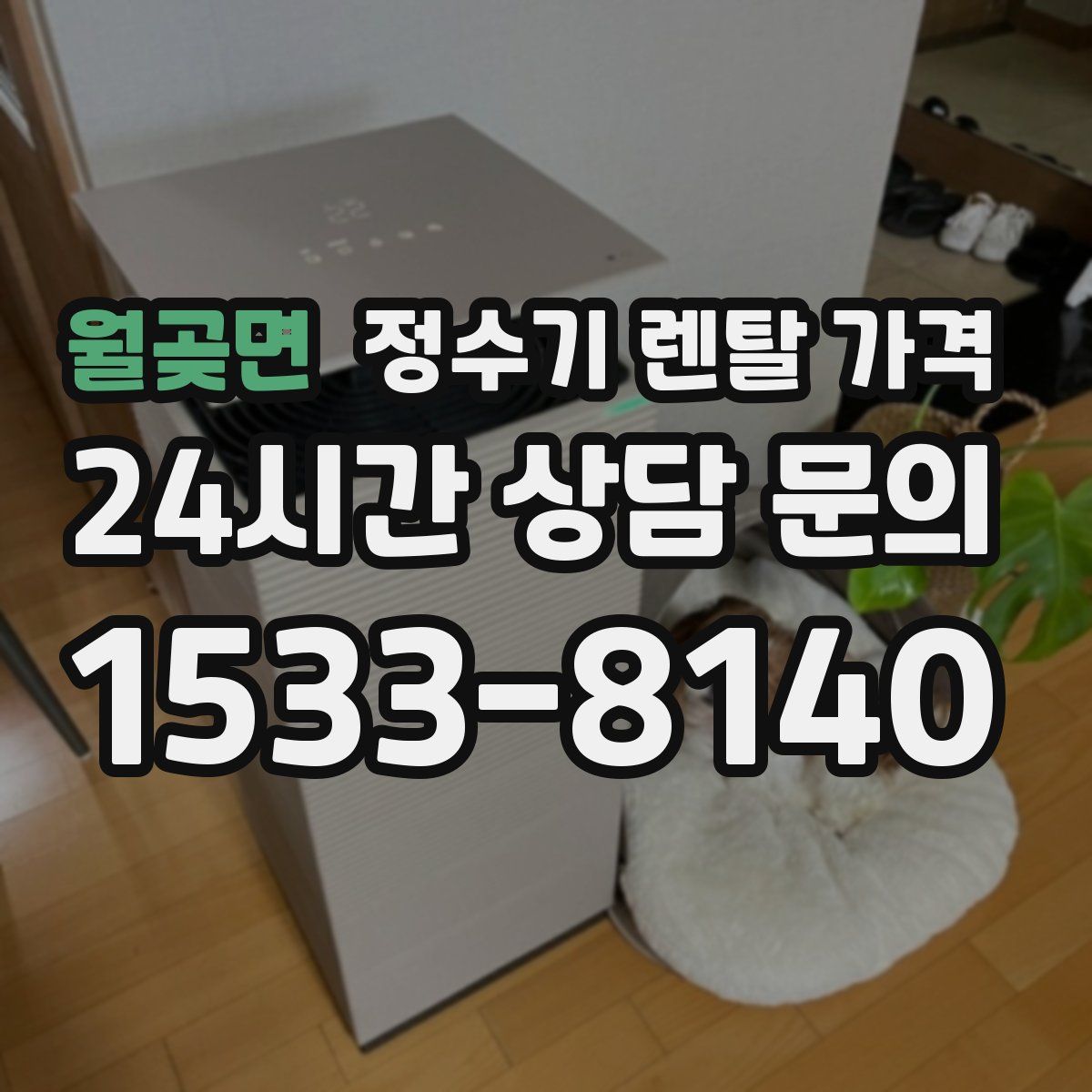 월곶면 정수기 렌탈 가격