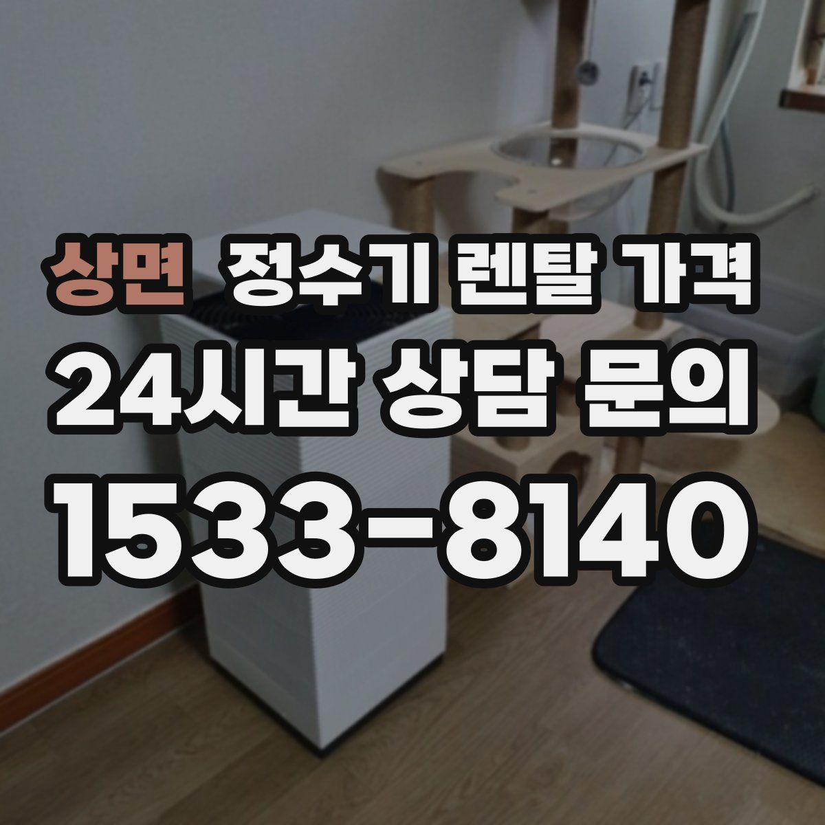 상면 정수기 렌탈 가격