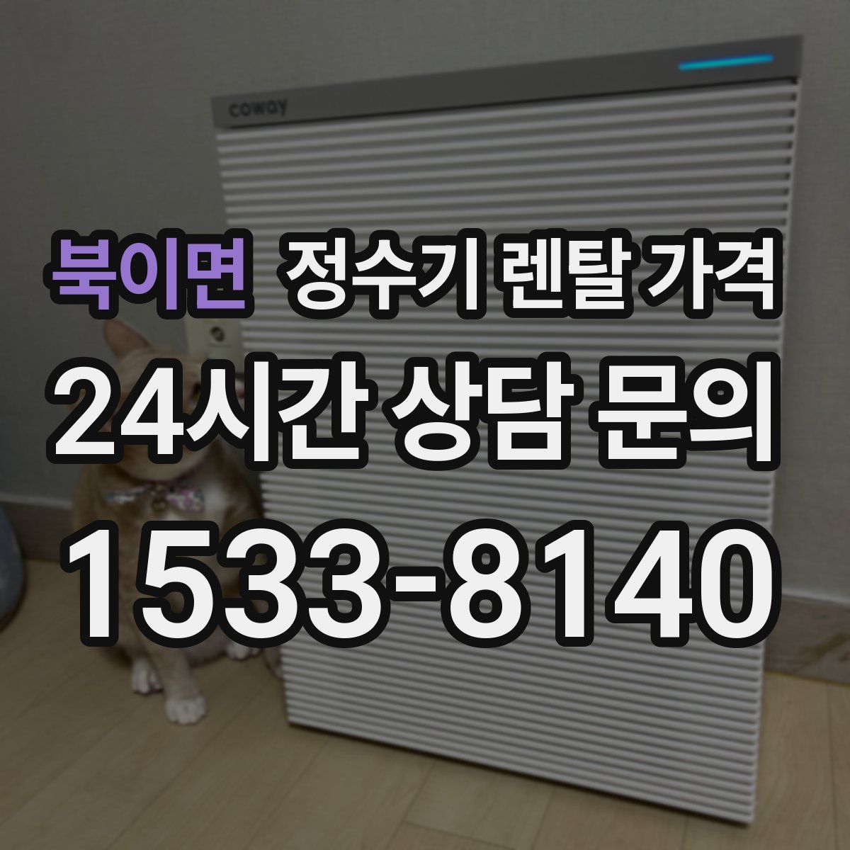 북이면 정수기 렌탈 가격