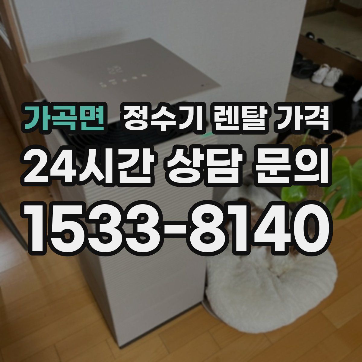 가곡면 정수기 렌탈 가격