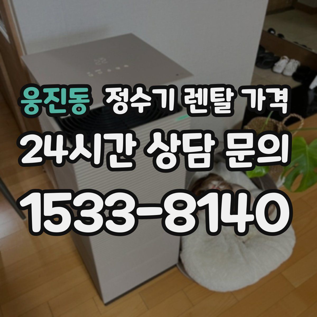 웅진동 정수기 렌탈 가격