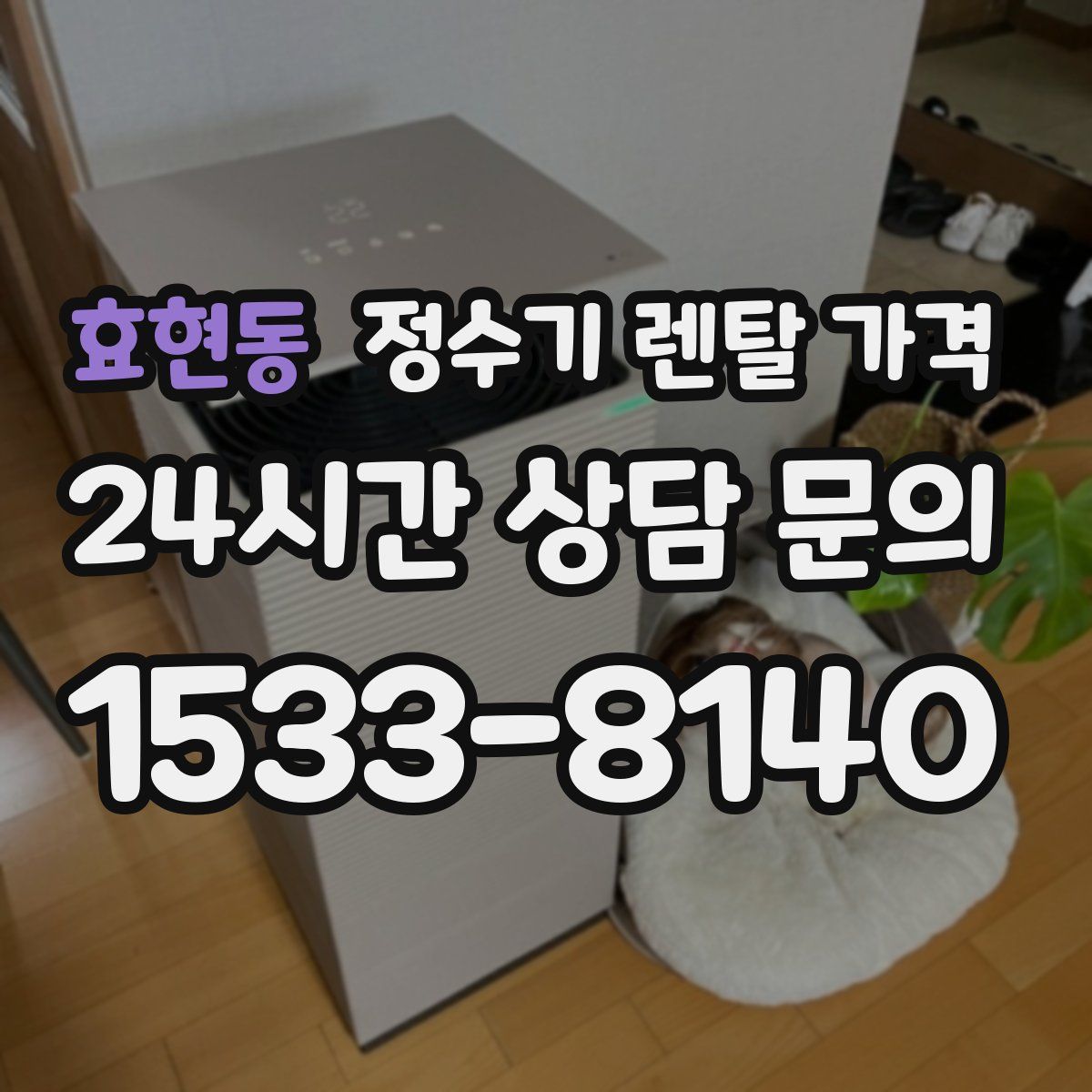 효현동 정수기 렌탈 가격