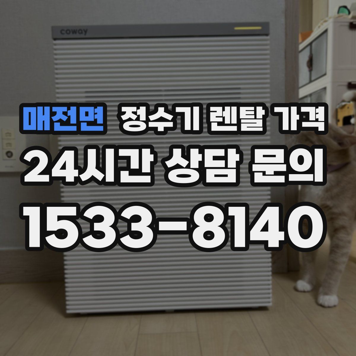 매전면 정수기 렌탈 가격