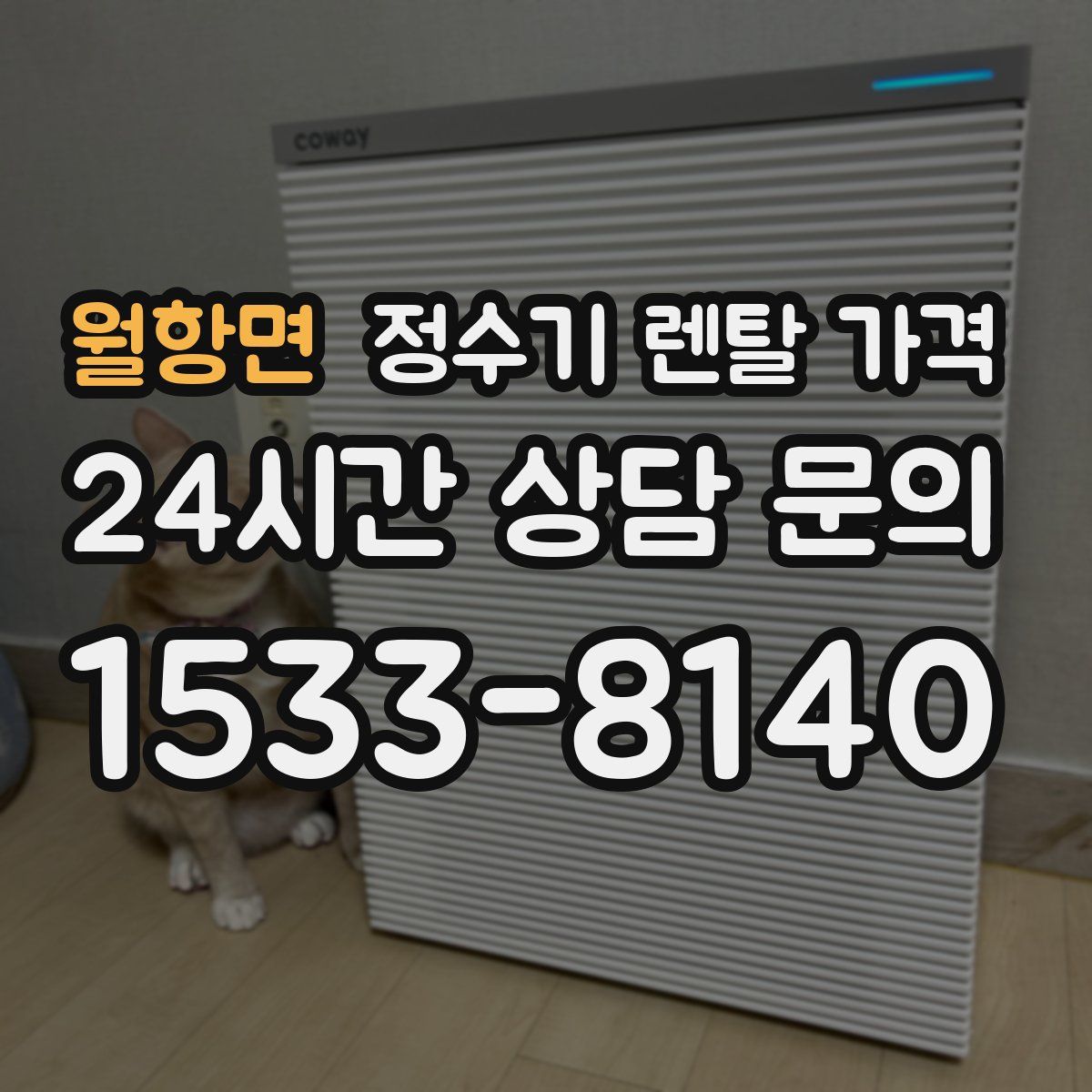 월항면 정수기 렌탈 가격