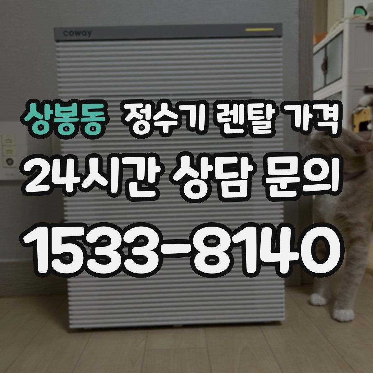 상봉동 정수기 렌탈 가격