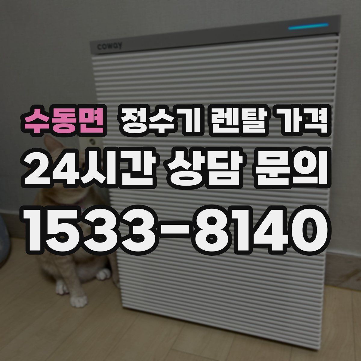 수동면 정수기 렌탈 가격 고가 모델 선택 기준 정리