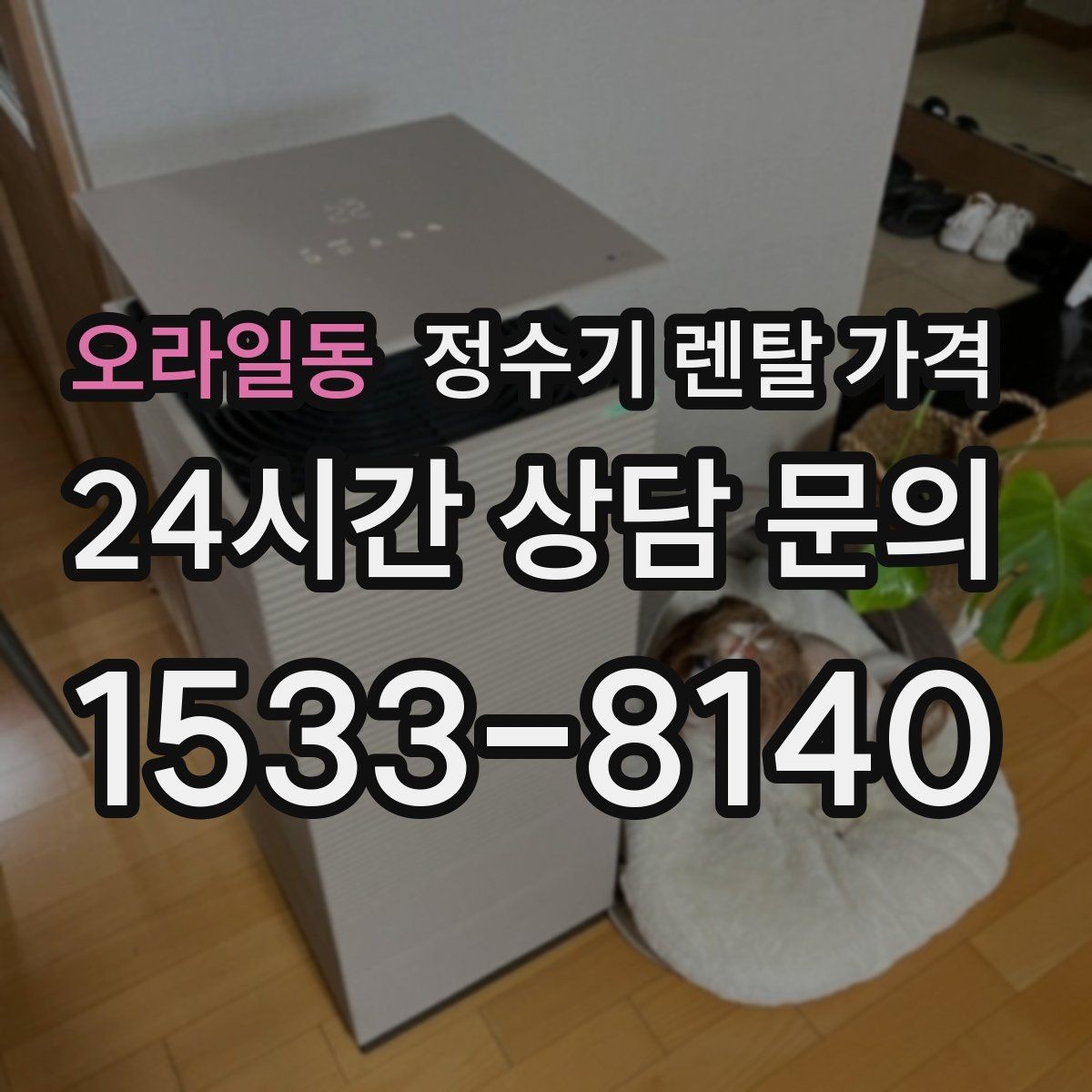 오라일동 정수기 렌탈 가격 정수 전용이 더 나은 경우 정리