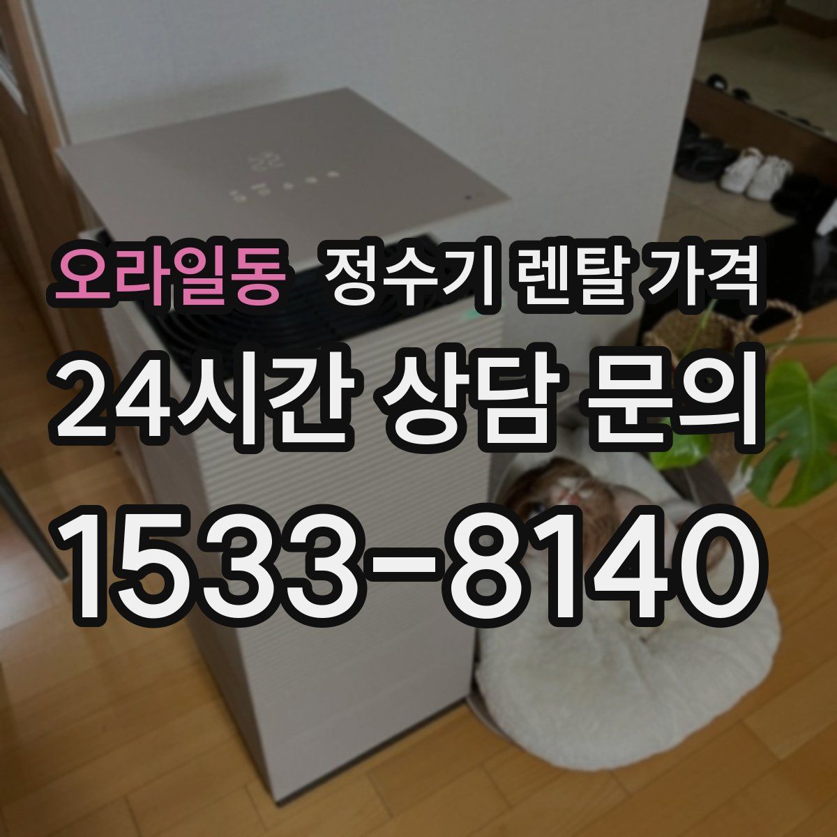 오라일동 정수기 렌탈 가격