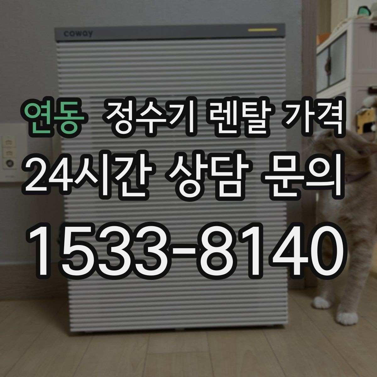 연동 정수기 렌탈 가격 효율적인 선택을 위한 기준
