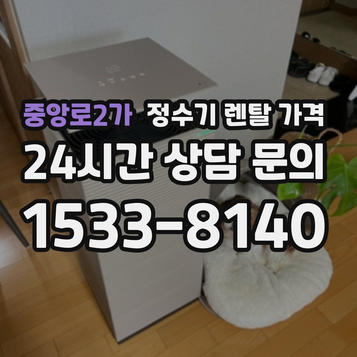 중앙로2가 정수기 렌탈 가격
