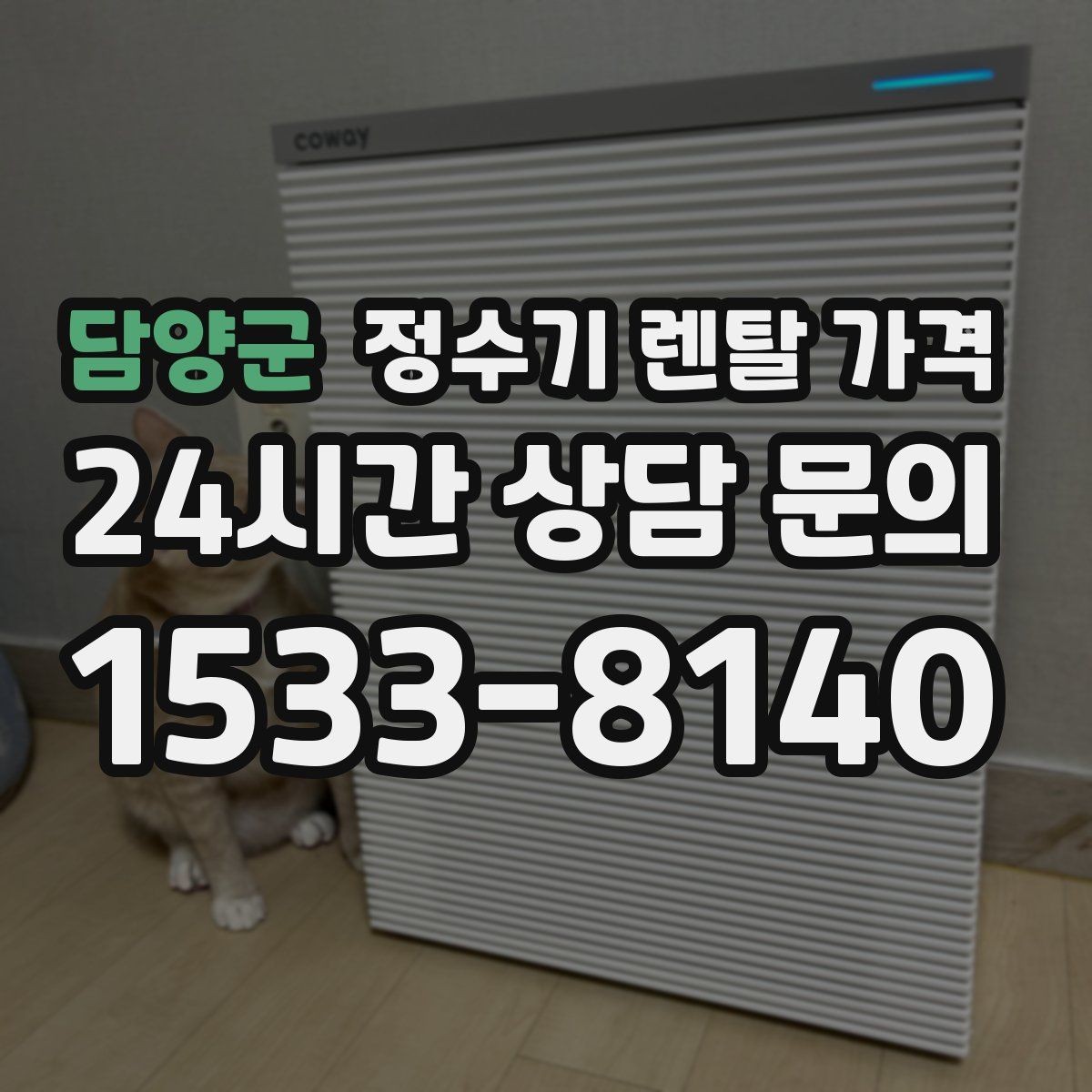 담양군 정수기 렌탈 가격 필터 직접 교체가 번거로운 경우 선택 기준