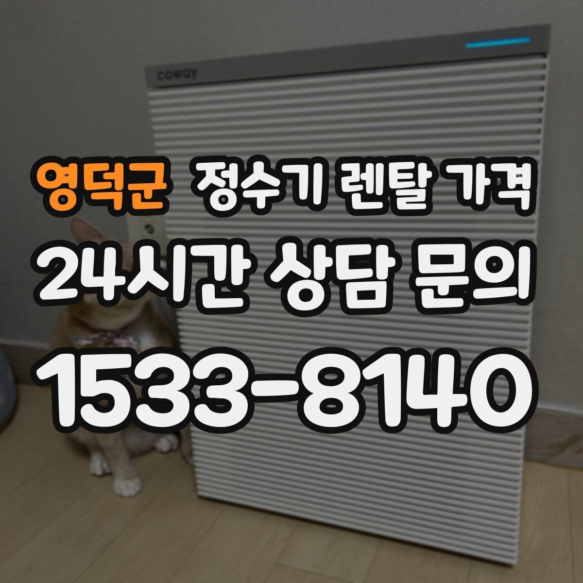 영덕군 정수기 렌탈 가격 효율적인 선택을 위한 기준