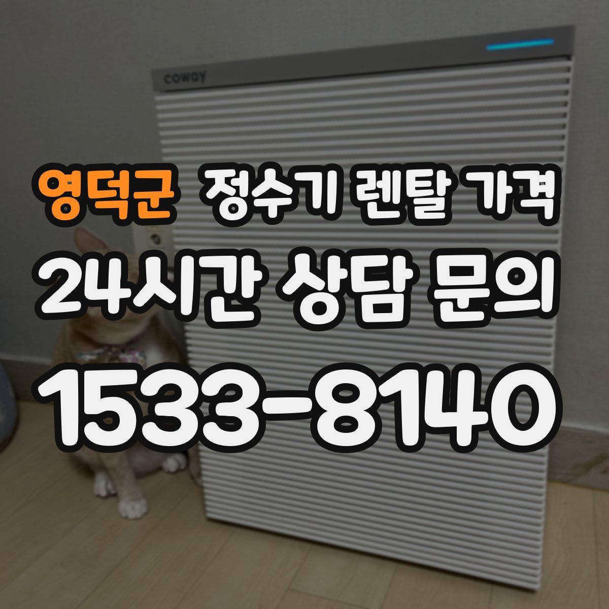 영덕군 정수기 렌탈 가격