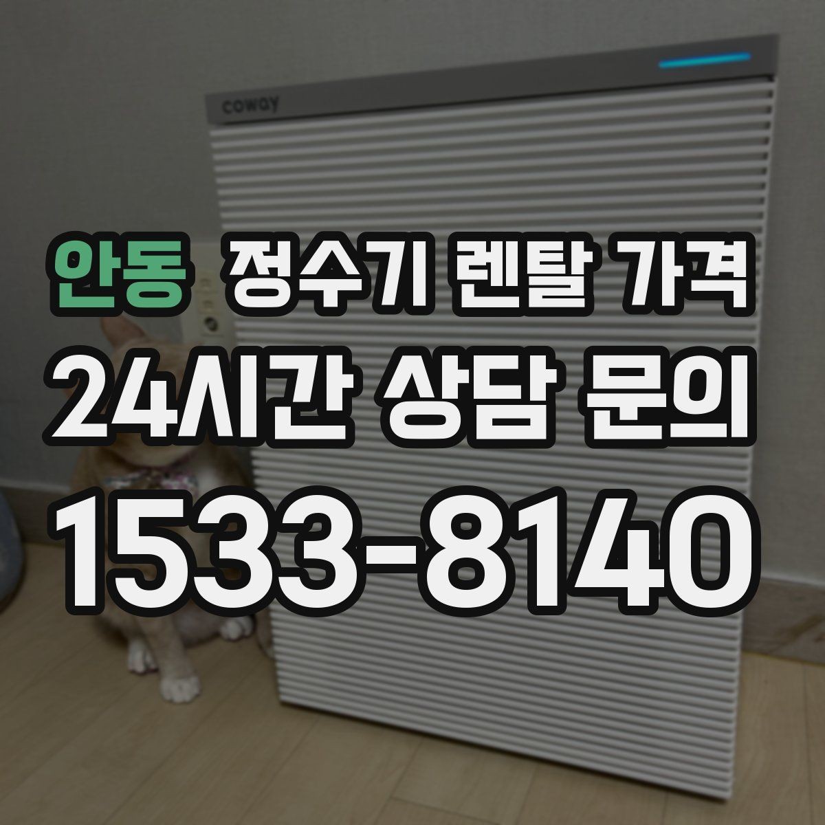 안동 정수기 렌탈 가격 월 요금 차이가 생기는 이유 알아보기