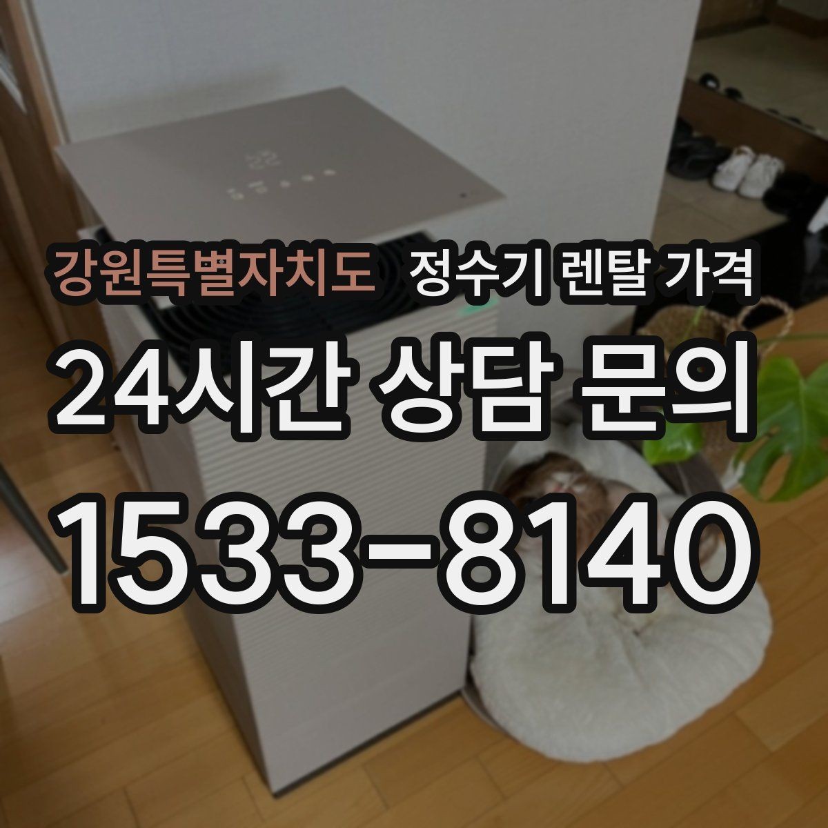 강원특별자치도 정수기 렌탈 가격 온수 기능이 필요한 집과 아닌 집