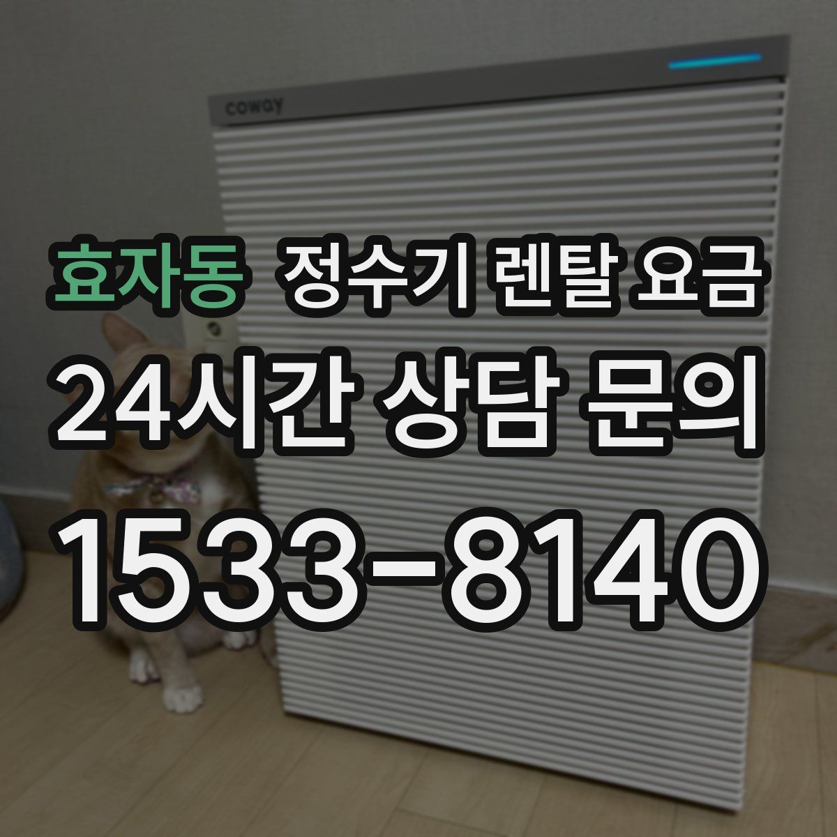 효자동 정수기 렌탈 요금