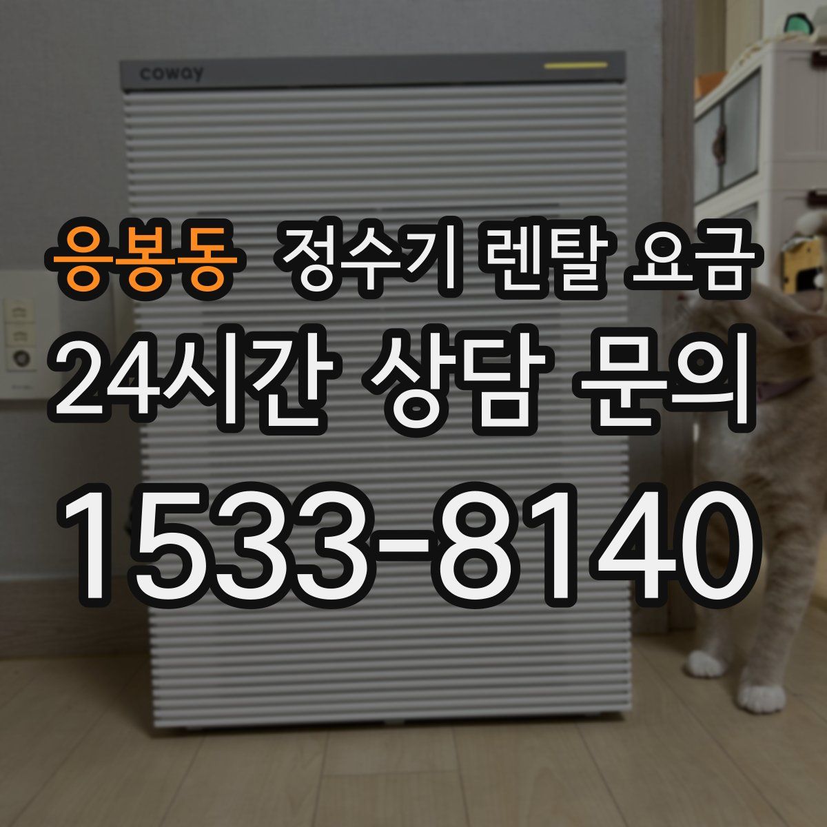 응봉동 정수기 렌탈 요금