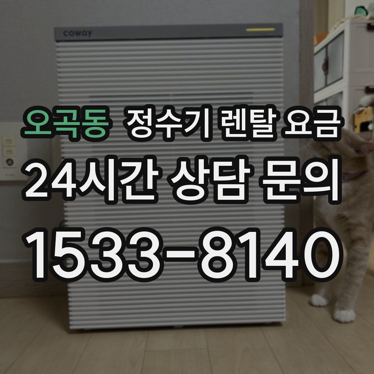 오곡동 정수기 렌탈 요금