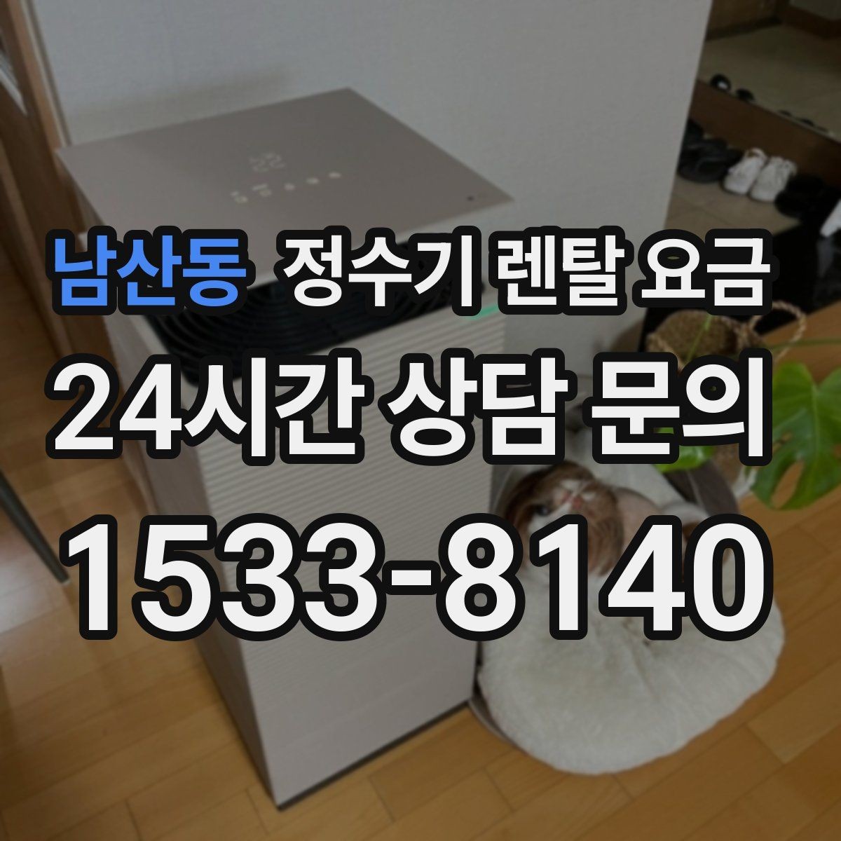 남산동 정수기 렌탈 요금 렌탈 시작 시기별 차이