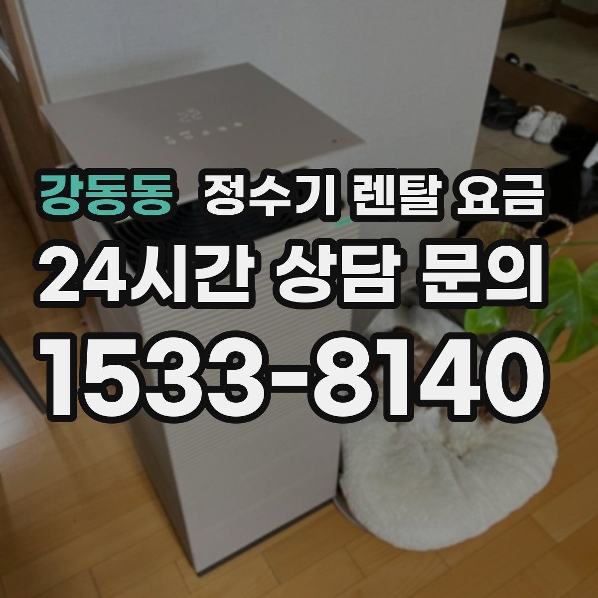 강동동 정수기 렌탈 요금