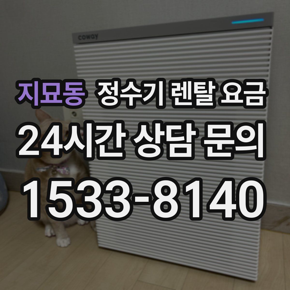 지묘동 정수기 렌탈 요금