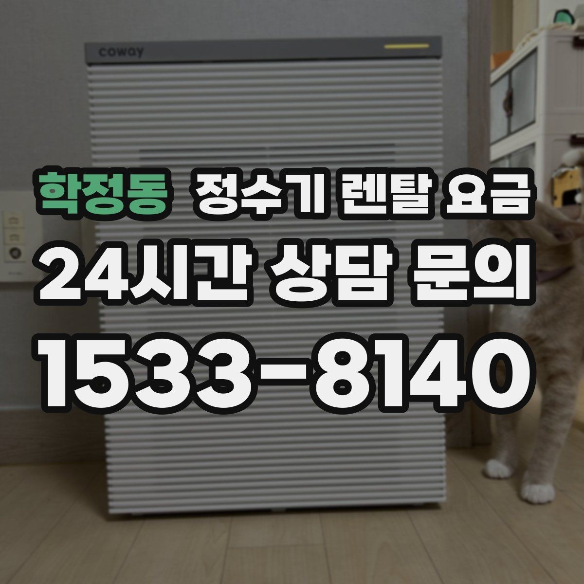 학정동 정수기 렌탈 요금 필터 직접 교체가 번거로운 경우 선택 기준