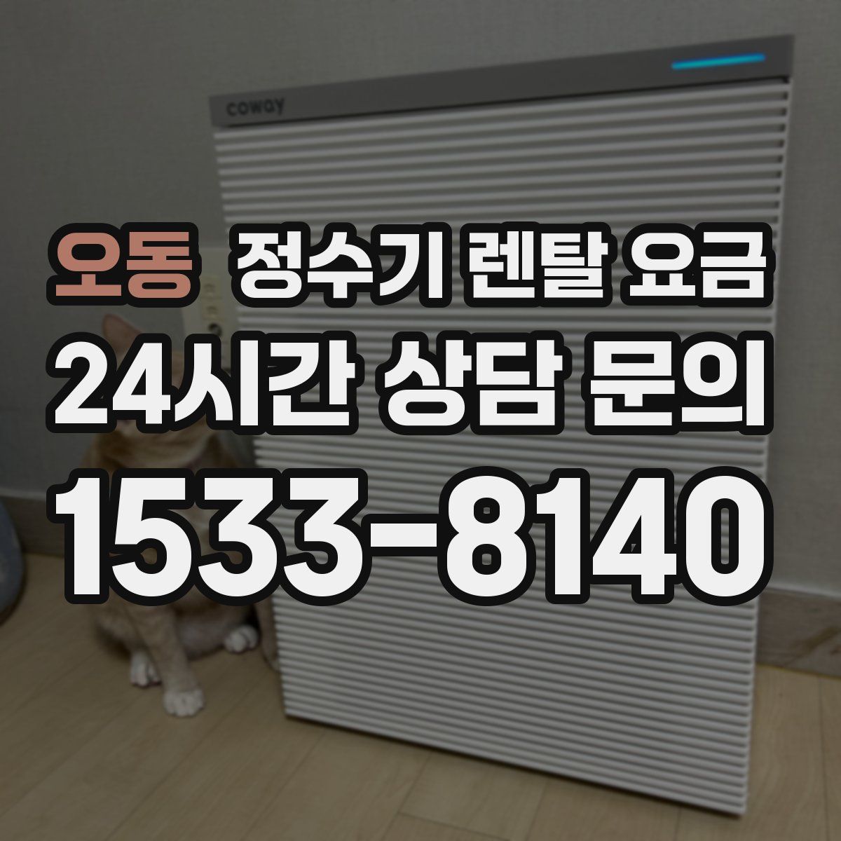 오동 정수기 렌탈 요금