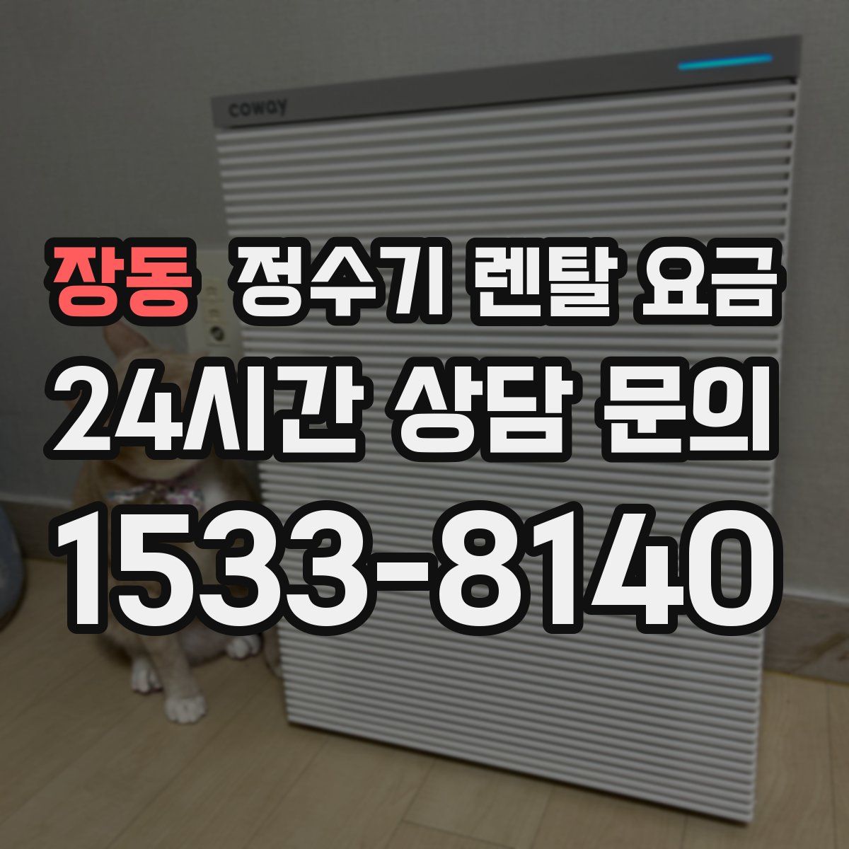 장동 정수기 렌탈 요금