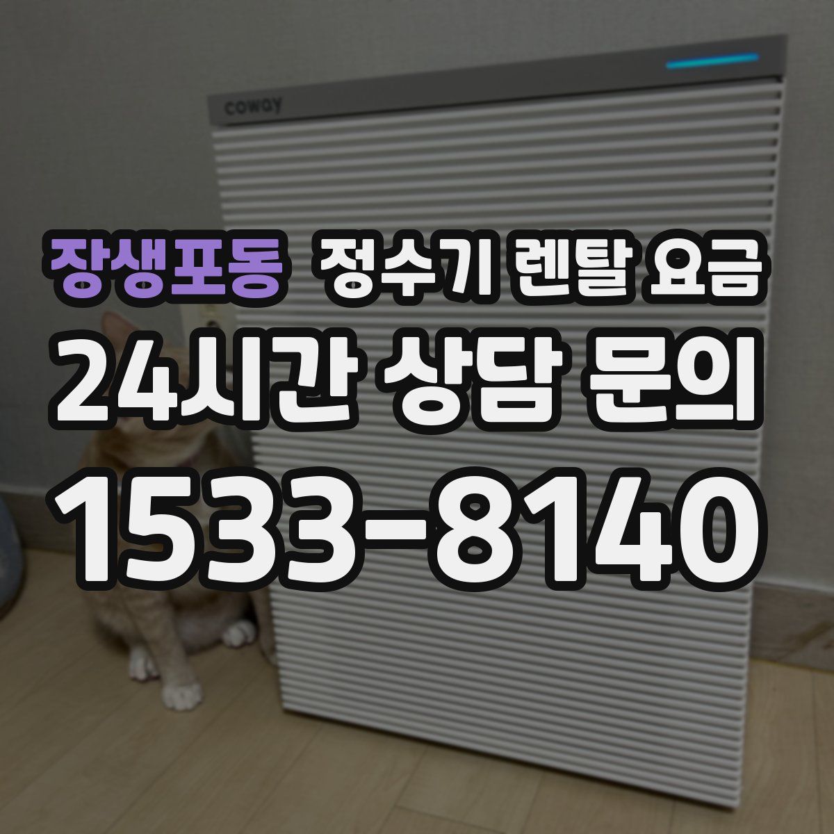 장생포동 정수기 렌탈 요금