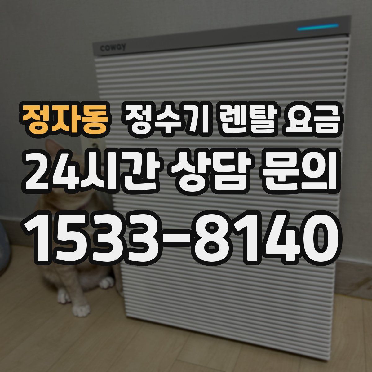 정자동 정수기 렌탈 요금