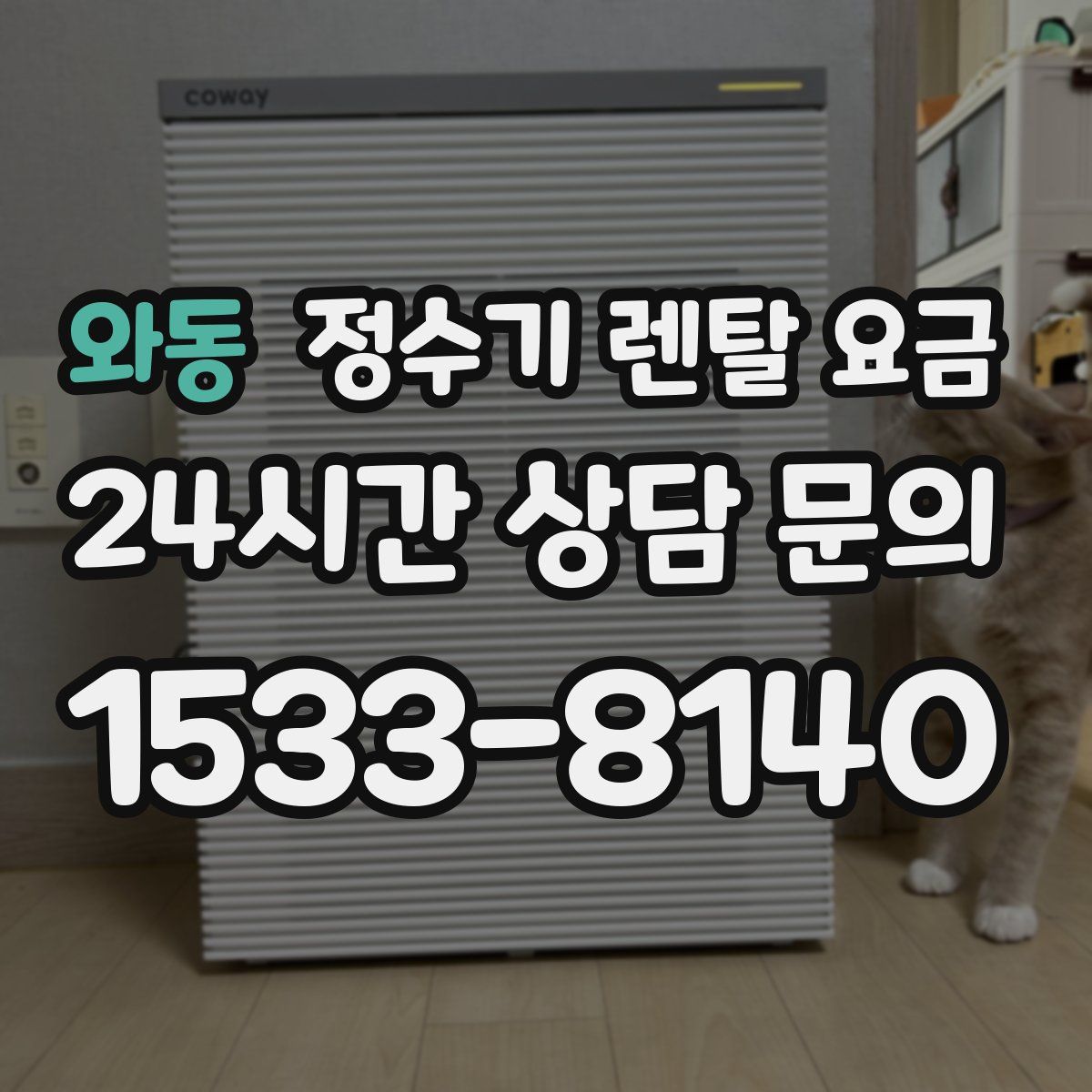 와동 정수기 렌탈 요금