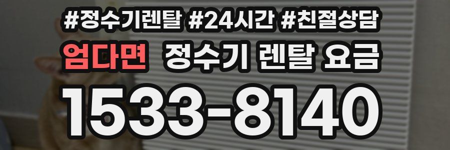 엄다면 정수기 렌탈 요금