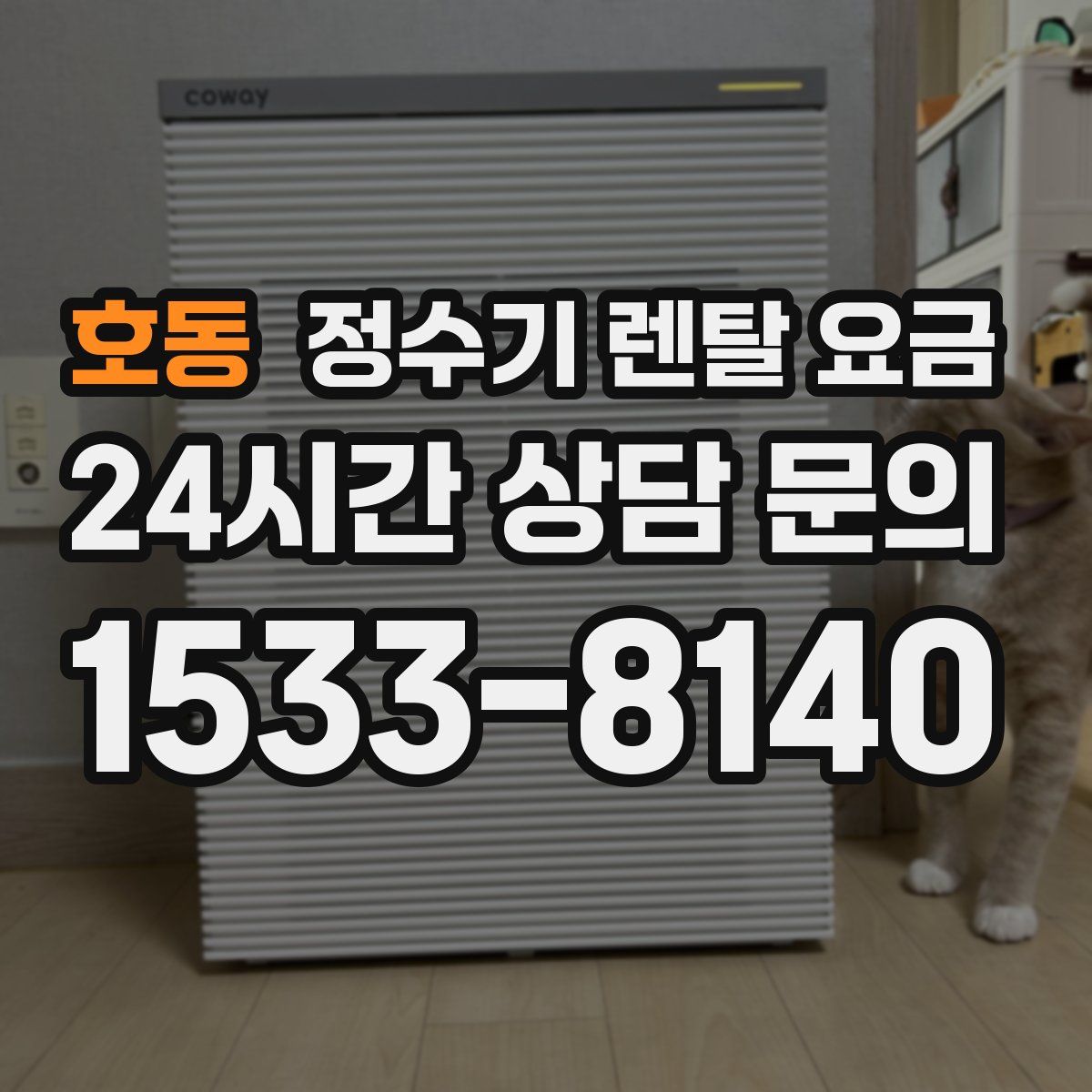 호동 정수기 렌탈 요금