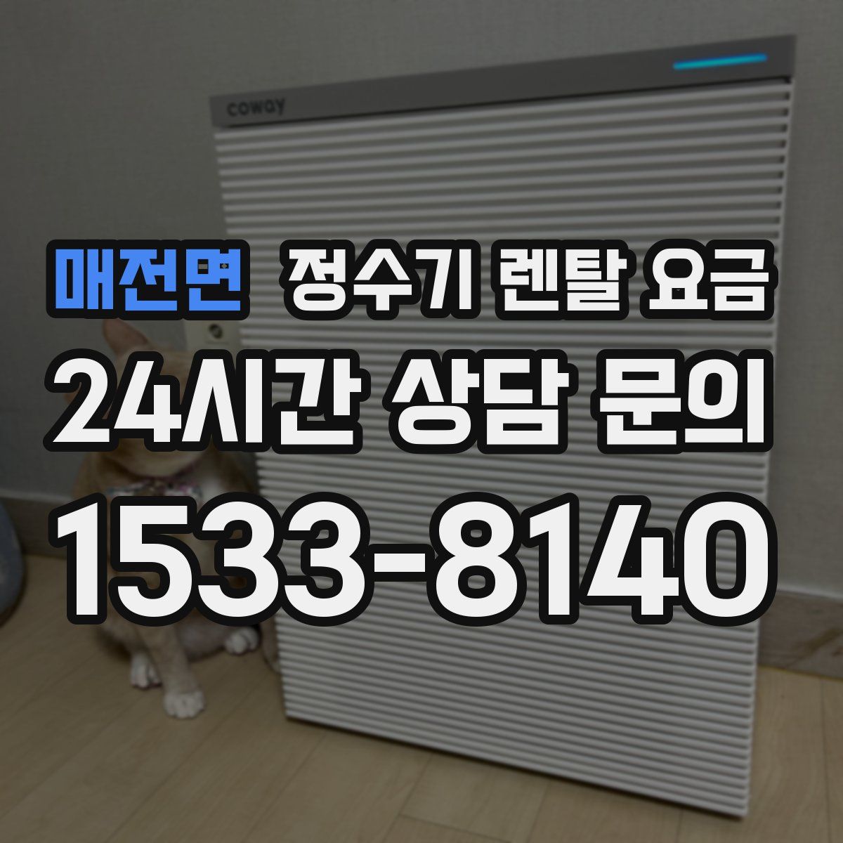 매전면 정수기 렌탈 요금