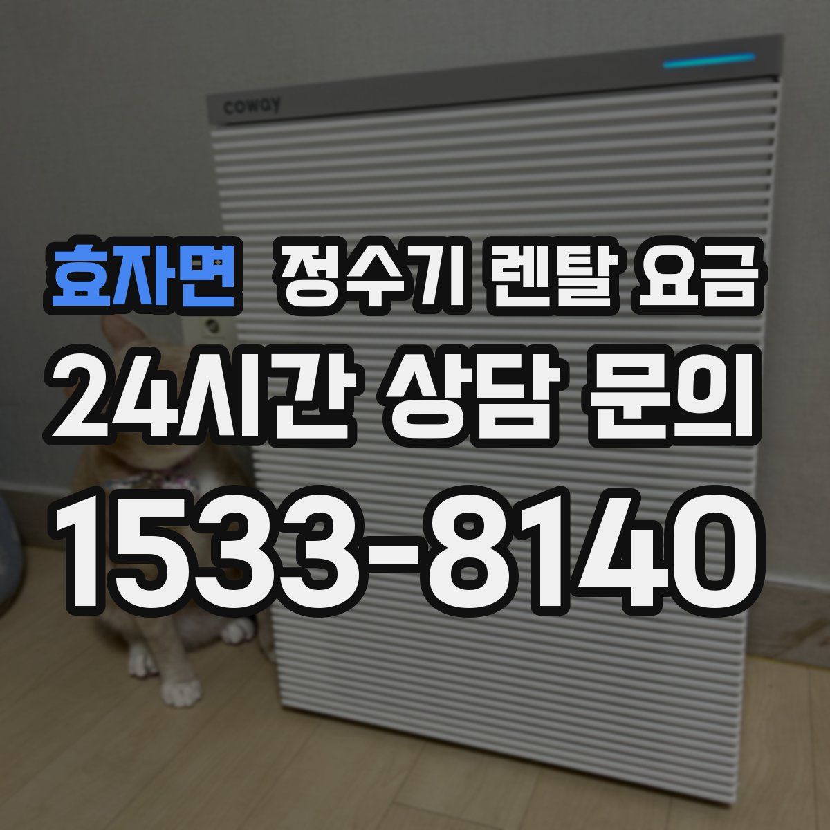 효자면 정수기 렌탈 요금