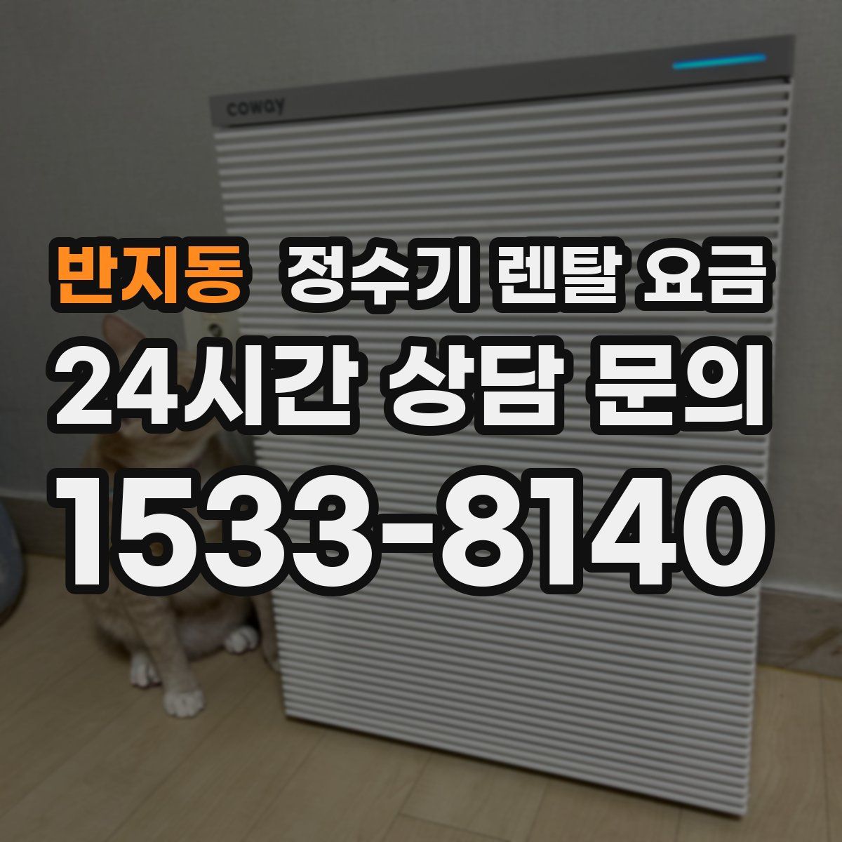 반지동 정수기 렌탈 요금