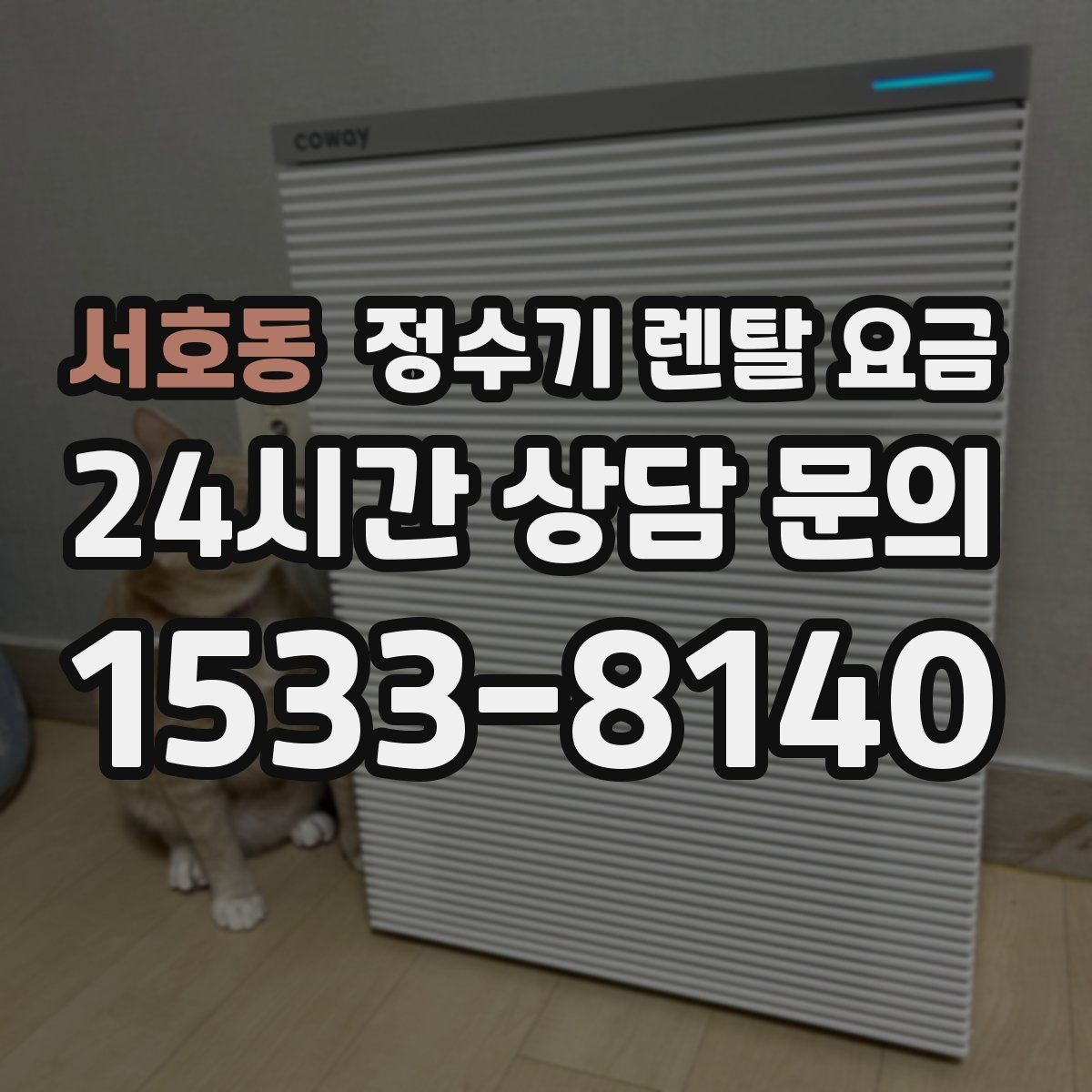 서호동 정수기 렌탈 요금 얼음 기능이 들어가면 얼마나 달라질까