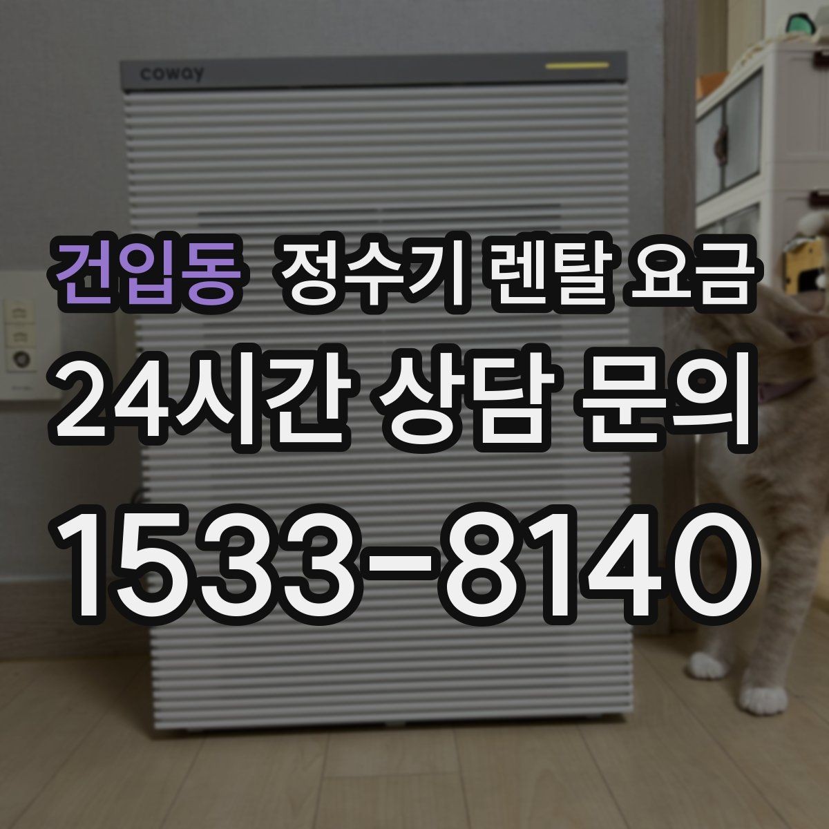 건입동 정수기 렌탈 요금 셀프 설치가 어려운 이유는 무엇일까