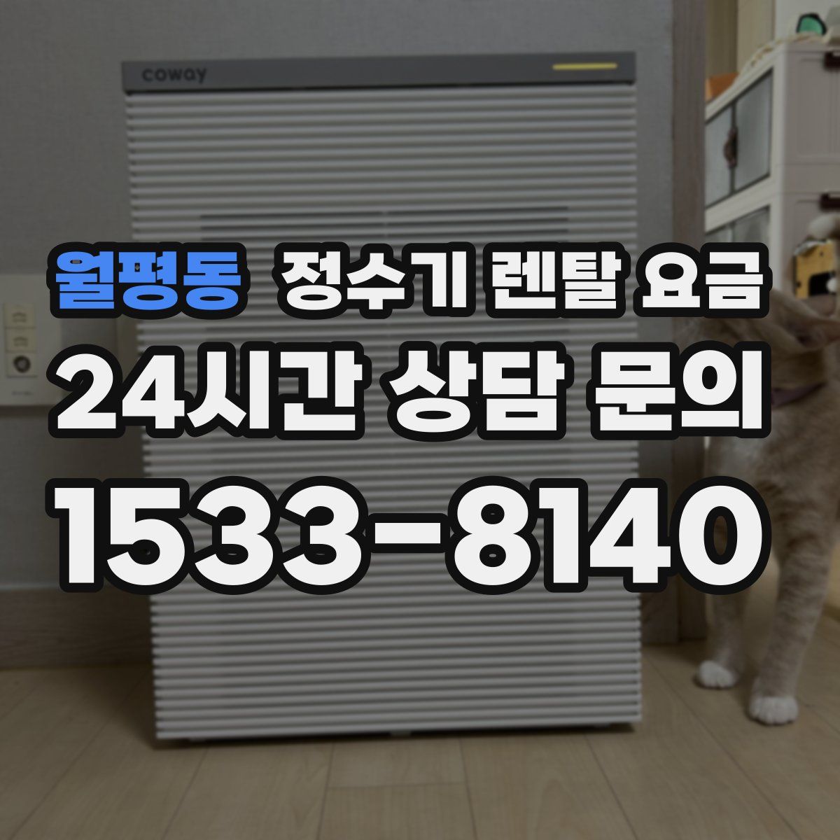 월평동 정수기 렌탈 요금