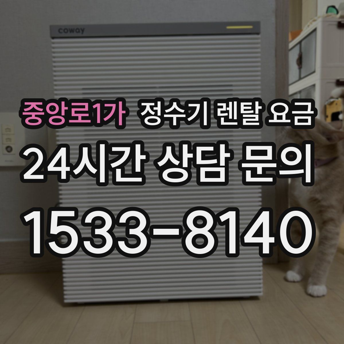 중앙로1가 정수기 렌탈 요금