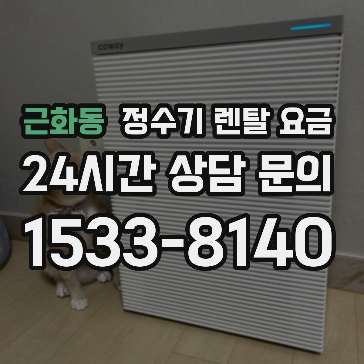 근화동 정수기 렌탈 요금 사용 후 불만이 생기는 대표 이유 정리