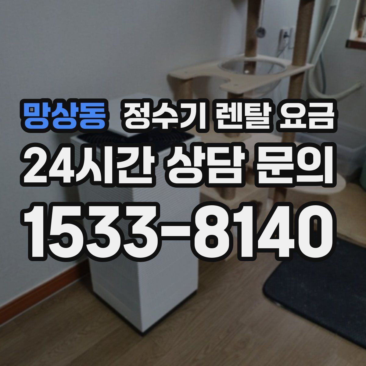 망상동 정수기 렌탈 요금